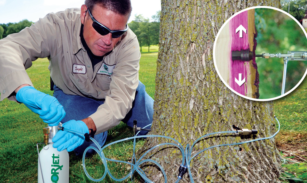 Arborjet emerald ash borer treatment